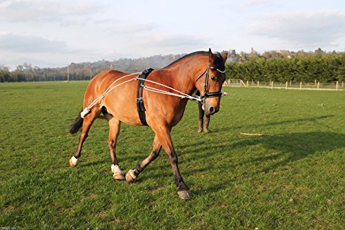 Cwell Equine New Horse Training aid Pessoa based Black,Brown,White one size fits all